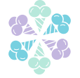 Seasonal Items